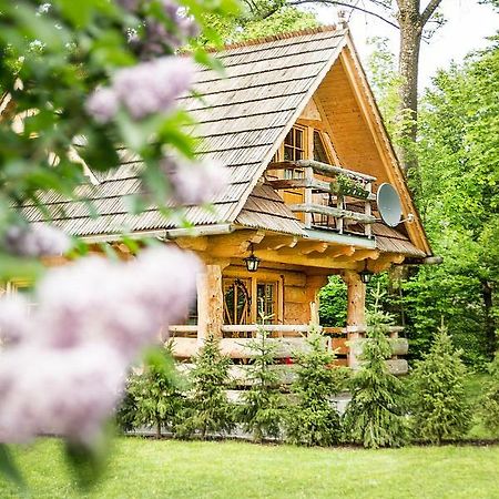 Villa Klimkowka à Zakopane Extérieur photo