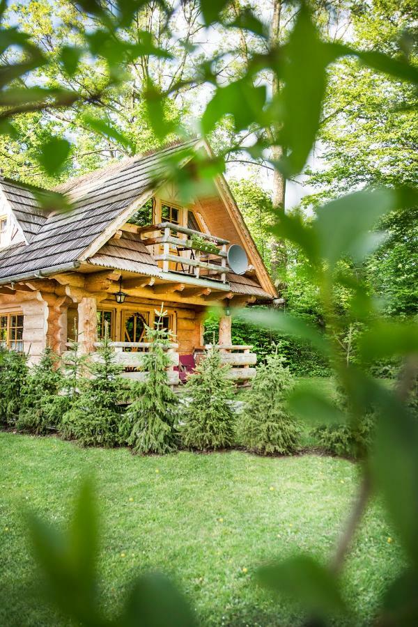 Villa Klimkowka à Zakopane Extérieur photo