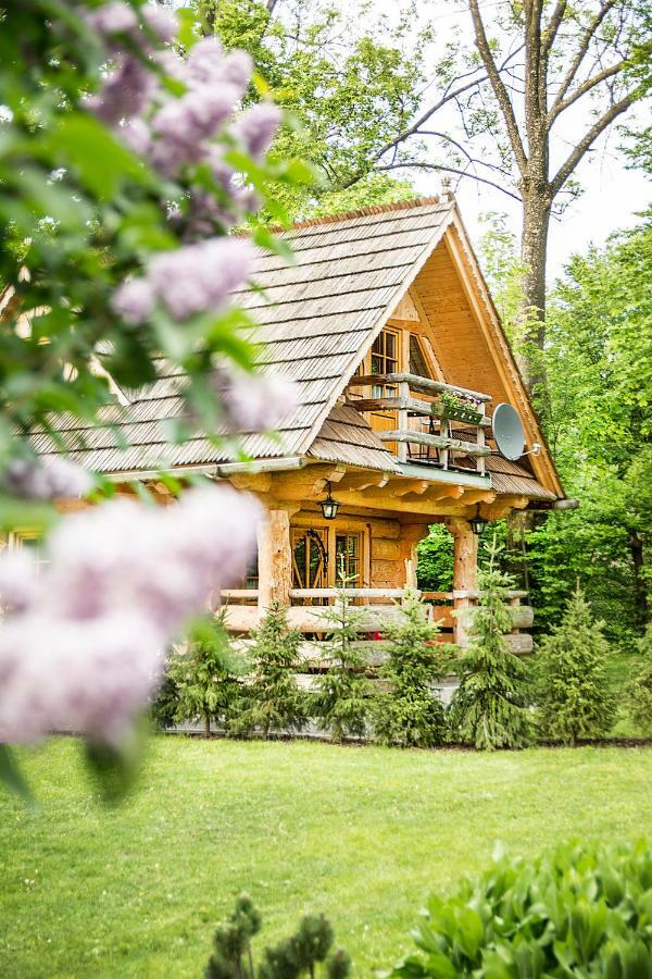 Villa Klimkowka à Zakopane Extérieur photo